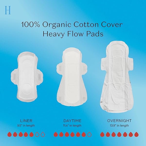THE HONEY POT COMPANY – HERBAL SANITARY PADS FOR WOMEN – HEAVY FLOW W/WINGS – INFUSED W/ESSENTIAL OILS FOR COOLING EFFECT & ORGANIC COTTON COVER – FEMININE CARE – FSA & HSA – 16 CT