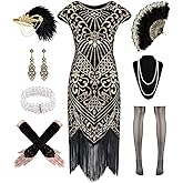 WILDPARTY 1920s Dresses for Women, Sequin Flapper Dresses Vintage Fringed Cocktail Dress with 20s Accessories Set