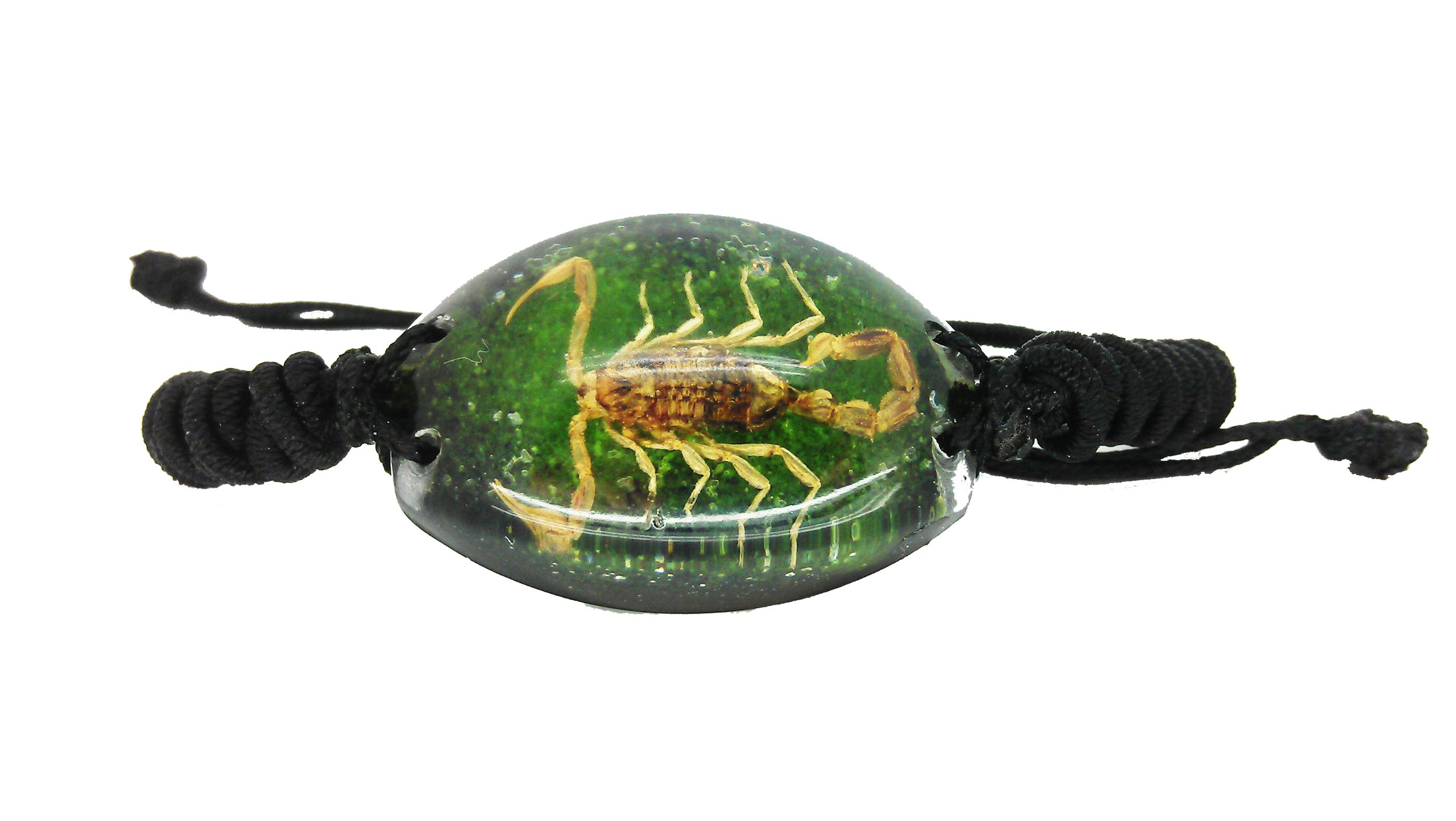 Luck Trader Real Scorpion Green and Black Resin Bracelet
