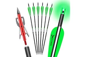 DEEPOWER 6 Pack Crossbow Bolts 20 inch GPI 9.9 with Broadheads 100 Grain and 7.62mm Lighted Nocks Crossbow Arrows for Hunting and Practice