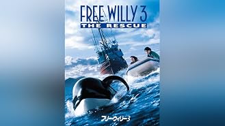 Amazon Co Jp イルカと少年 吹替版 を観る Prime Video