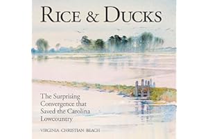 Rice & Ducks: The Surprising Convergence That Saved the Carolina Lowcountry