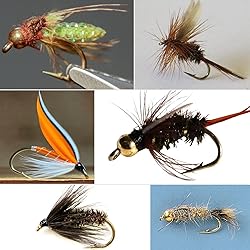 SF #14 Standard Wet and Nymph Hooks with Pproat
