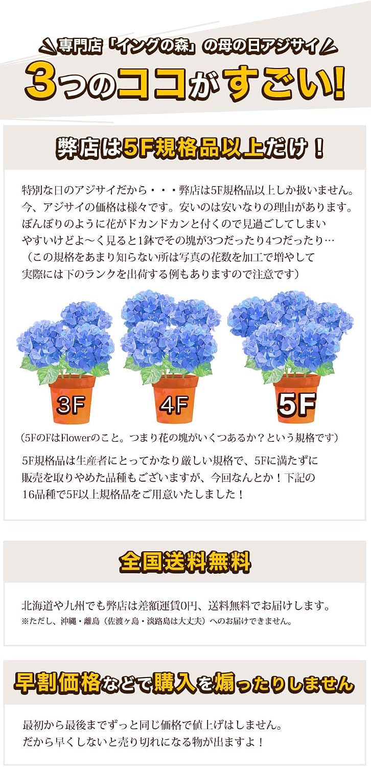 Amazon 母の日 あじさい プレゼント ギフト 17種類から選べるアジサイ5号サイズ 紫陽花 鉢植え こだわりラッピング ひなまつりピンク 花 観葉植物 フラワーギフト オンライン通販