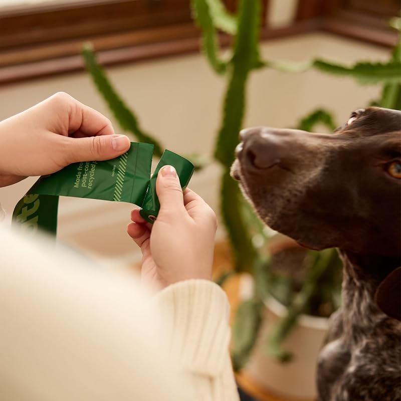 Earth rated - sacos de cocô de cachorro - à prova de vazamentos e sacos de cocô de animais de estimação extra grossos para cães de todos os tamanhos - rolos de recarga - sem perfume - contagem de 120