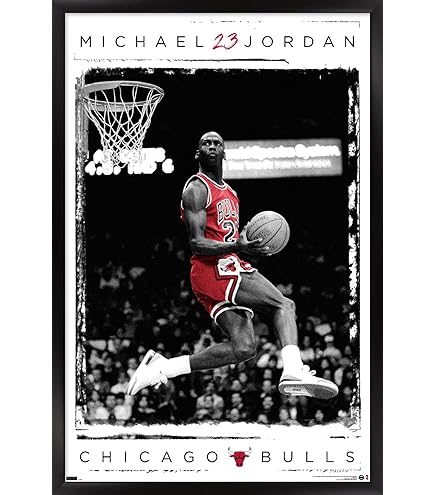 H5D9387 Chicago Bulls Legends Jordan Pippen Rodman 20x16 FRAMED