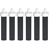 AQUA CREST Water Bottle Filter, Replacement for Brita® BB06, Brita® Hard Sided, Stainless Steel and Plastic Bottle Filter, 6 Count