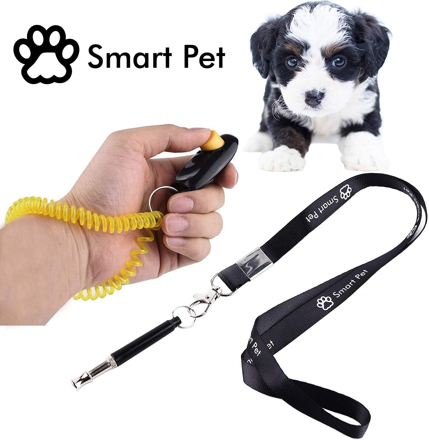 device to stop dog whining