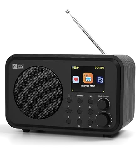 Amazon.com: Sangean WFR-28 Internet Radio/FM-RBDS/USB/Network