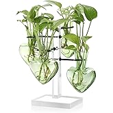 YYHglass Clear Plants Propagation Stations Terrarium Kit Birthday Gift for Women for Indoor Home Office Decor Acrylic Plant Accessories - 4 Love Hear Vase