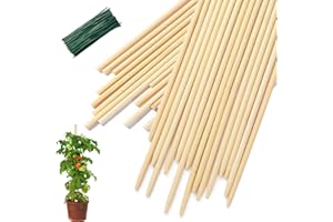 CJFOCUS 40 PCS Bamboo Plant Stakes 18 Inch, Wood Plant Support for Gardening for Potted Floral Plant, Indoor Wooden Sign Posting Garden Stick, Crafts Sticks with 40 PCS Wires(4")