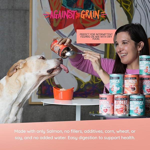 EVANGER’S AGAINST THE GRAIN NOTHING ELSE! 100% SALMON DOG FOOD – 12 COUNT, 11 OZ EACH – SINGLE-INGREDIENT MEATBALL TEXTURE IN NATURAL BROTH – WET DOG FOOD – GRAIN & GLUTEN FREE