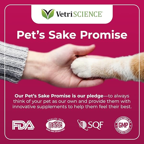 VETRISCIENCE HAIRBALL CONTROL CHEWS FOR CATS, OMEGA-3 AND FIBER SUPPLEMENT, SUPPORT DIGESTION AND SKIN AND COAT, TASTY SMALL BITES, CHICKEN, 60 COUNT