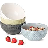 HASENSE Ceramic Cereal Bowls Set of 4, 26 OZ Soup Bowls, Embossed Stoneware Porcelain Bowls for Cereal, Soup, Oatmeal, Salad, Noodles & Rice, Microwave & Dishwasher Safe, Multi-Color