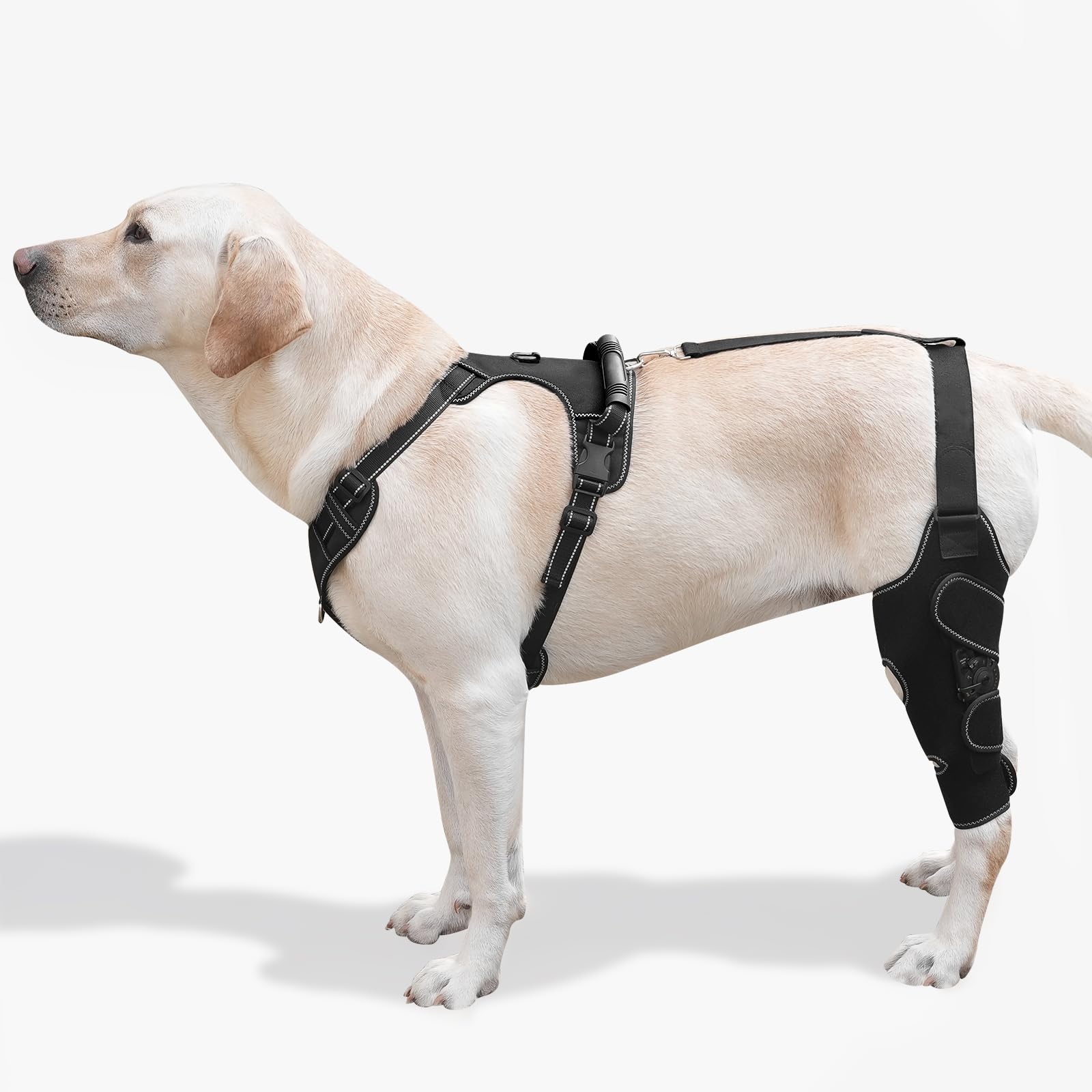 Photo 1 of FurWell Dog Knee Brace with Adjustable Support – ACL & CCL Tear Recovery, Post-Surgery Stabilization, Mobility Aid for Rear Legs – Includes Secure Chest Harness for Dogs(Left,L)