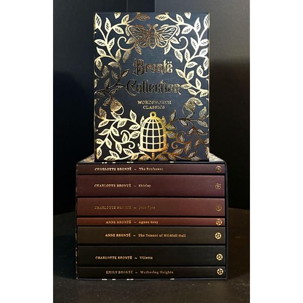 文学・小説 Complete Poems of Emily Jane Bronte 31RMhxsd6CL.jpg_BO30,255,255,