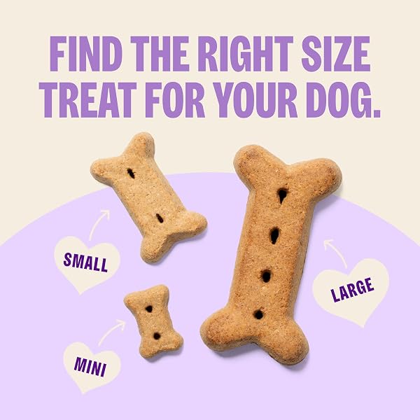 WELLNESS OLD MOTHER HUBBARD CLASSIC ORIGINAL MIX DOG BISCUITS, NATURAL TRAINING TREATS, 4 FLAVORS, MINI SIZE, 20 OZ BAG