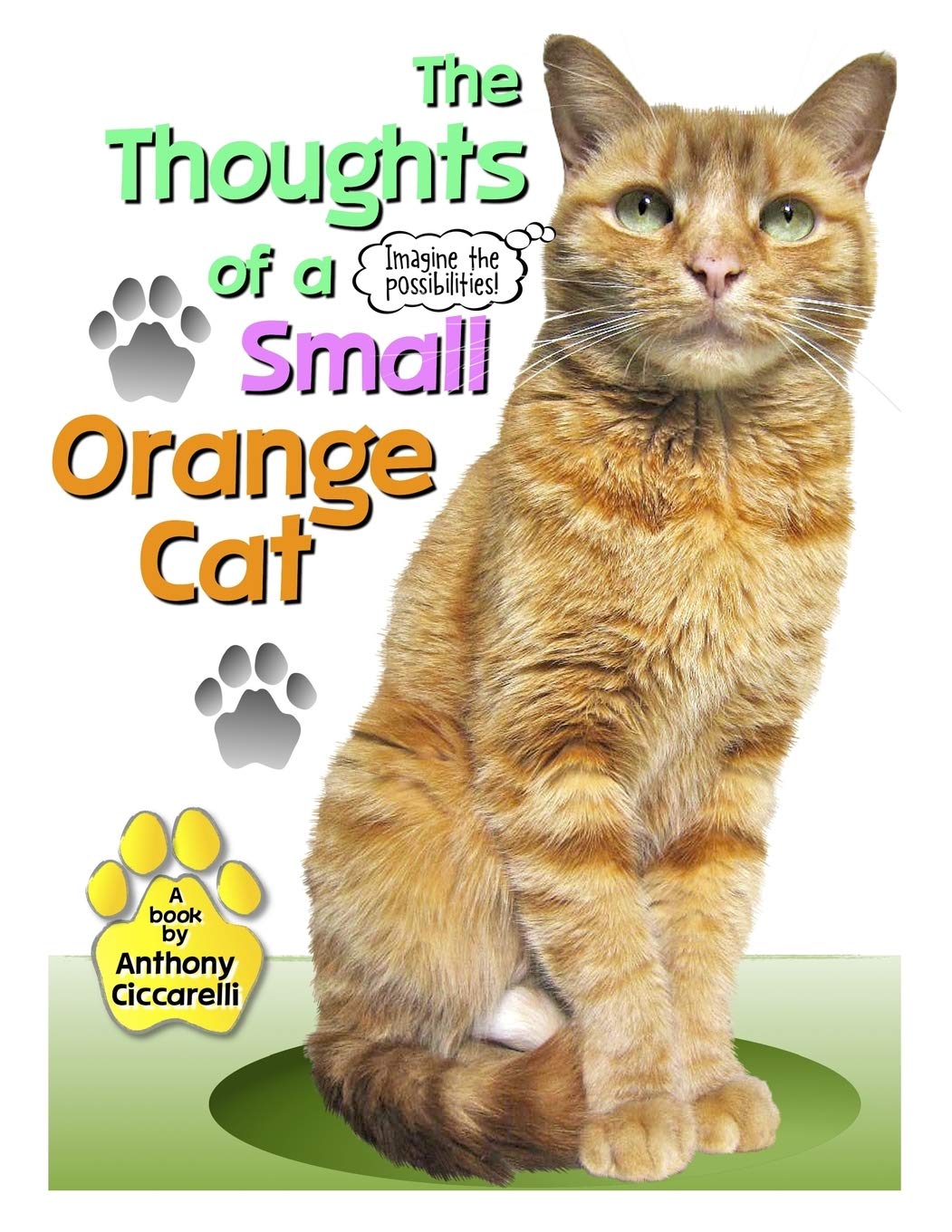 small orange cat