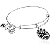 Alex and Ani Because I love you, Sister II Expandable Bangle Bracelet