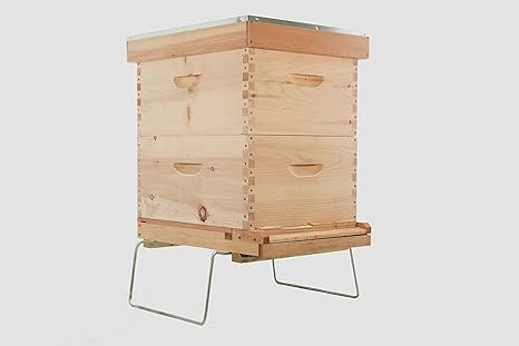 Spring Kit Backyard Beehive Starter Kit Amazon Ca Patio Lawn