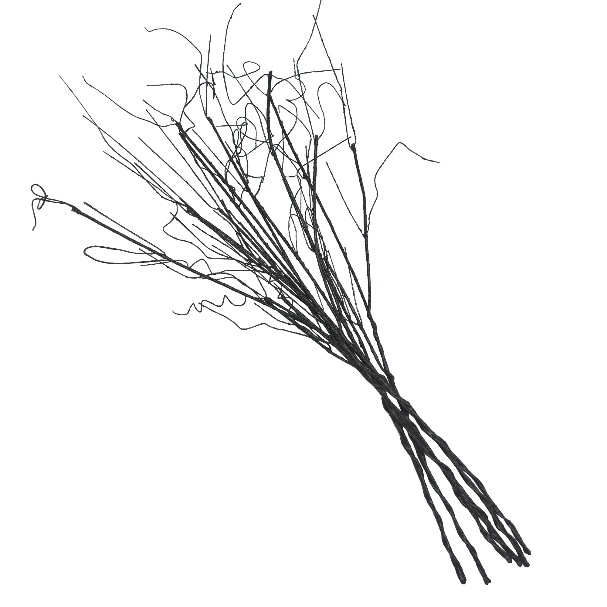 Photo 1 of NEBLOOM 6PCS Lifelike Curly Willow Branches Decorative Dried Artificial Twigs, 30.7 Inches Fake Bendable Sticks Vintage Vines/Stems DIY Greenery Plants Craft Vases Home Garden Hotel Farmhouse Decor