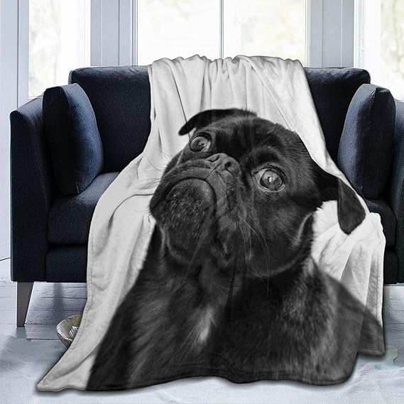 BWWHCCTI Cute Black Pug Dog Printed Blanket Throw