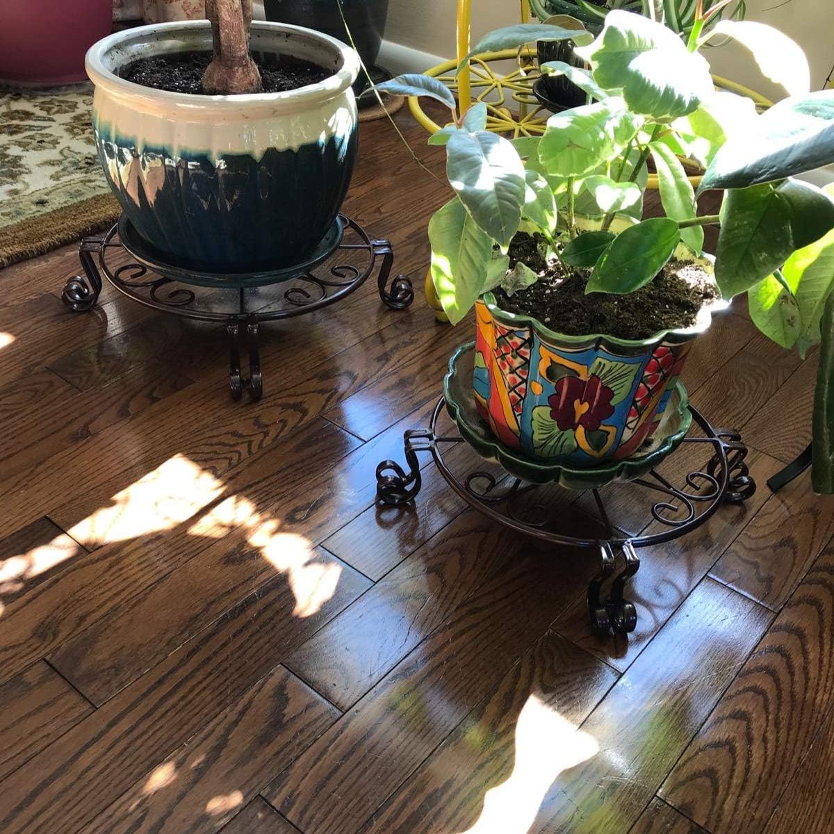 Black Plant Stand for Flower Pot Heavy Duty Potted Holder Indoor Outdoor Metal Rustproof Iron Garden Container Round Supports Rack for Planter Bronze, Pumpkin Stand Outdoor (12 x 3.1 Inches, Black) : Garden & Outdoor