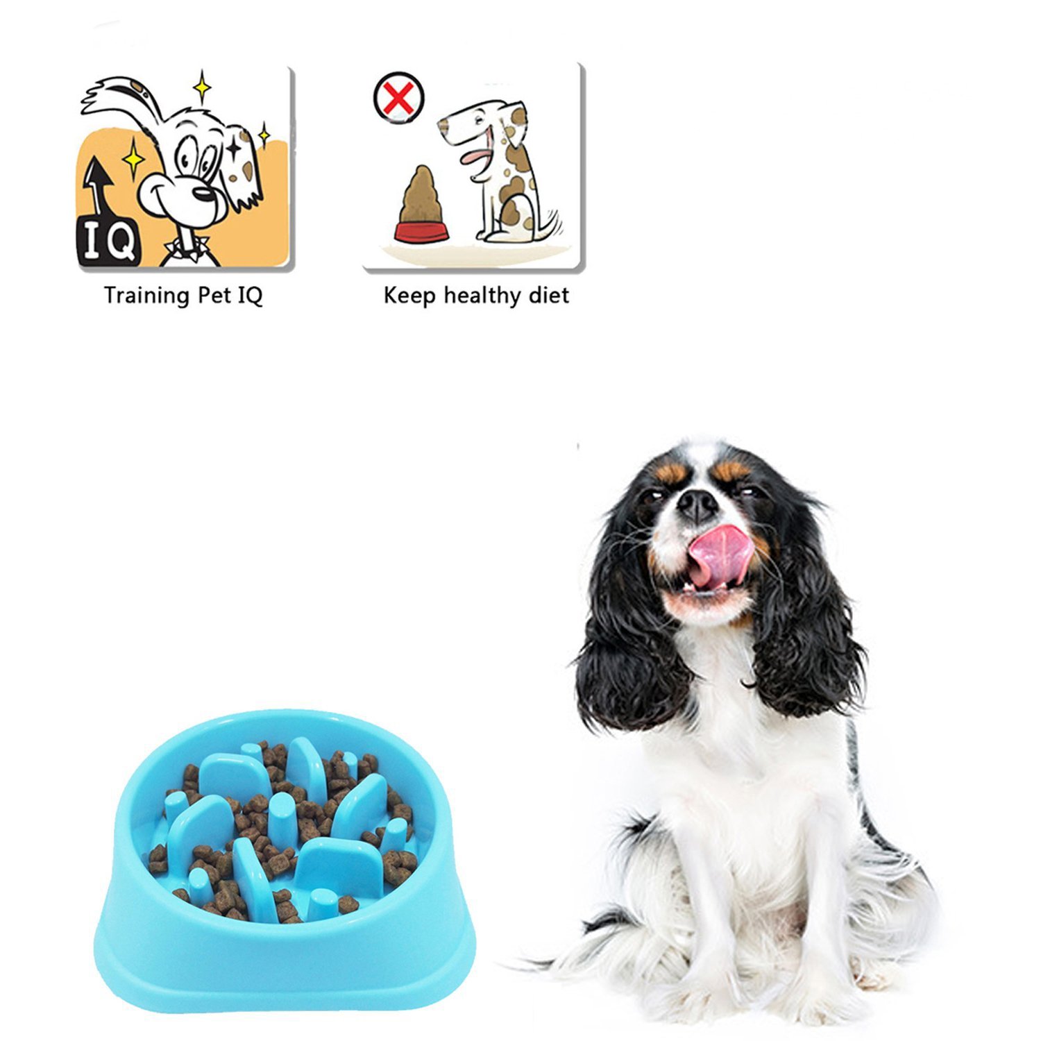 dog water bowl slow down drinking