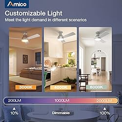 Amico Ceiling Fans with Lights, 42 inch Low Profile