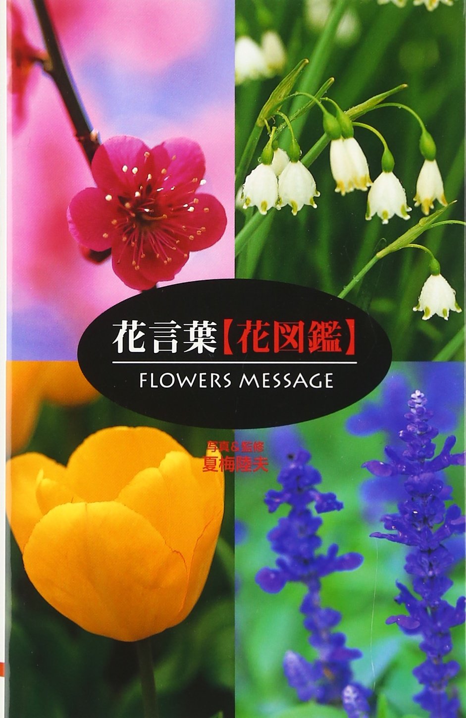 花言葉 花図鑑 Amazon Com Books