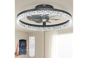 Passky 19.7” Low Profile Ceiling Fan with Lights and Remote, Dimmable LED Flush Mount Fandelier, 6 Speeds, 3000K–6000K, Black Modern Ceiling Fan for Bedroom, Kitchen, Living Room