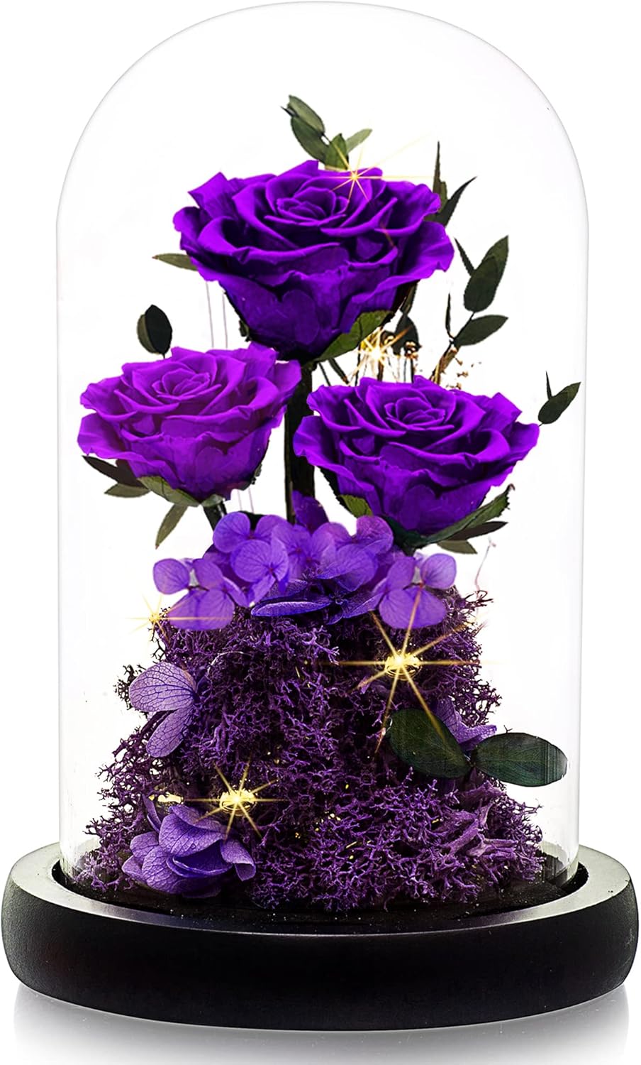Dried & Preserved Flora - DENIMOMO Mothers Day Preserved Rose Gifts for Mom Wife Grandma Forever Real Roses in Glass Dome,Beauty and The Beast Rose Flowers,Thanksging Anniversary Birthday Gifts/Purple