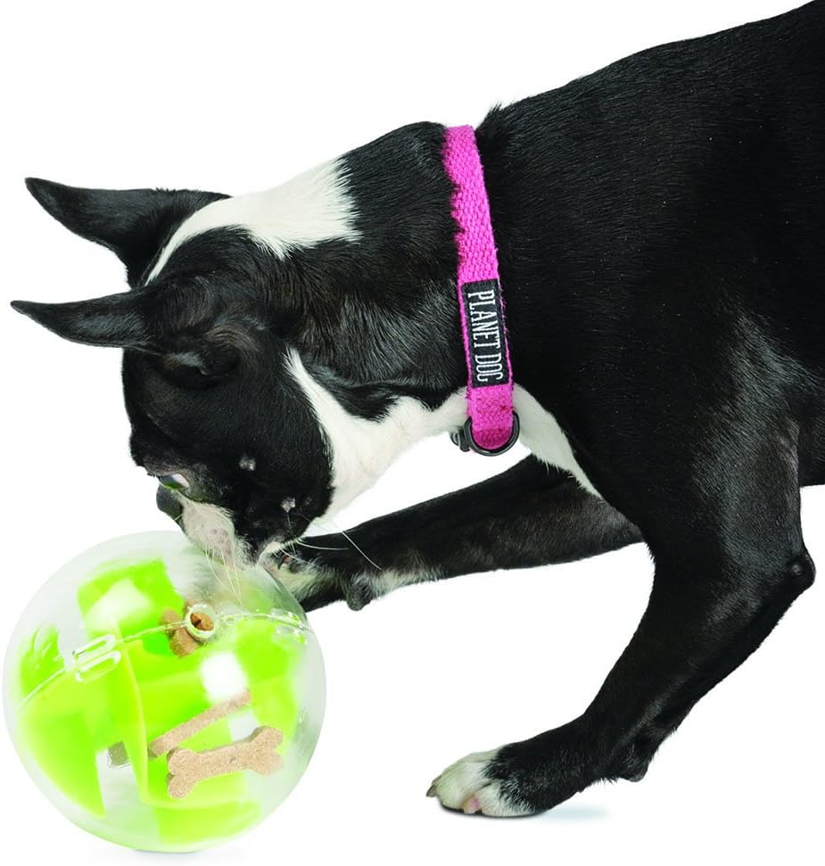 green treat ball for dogs