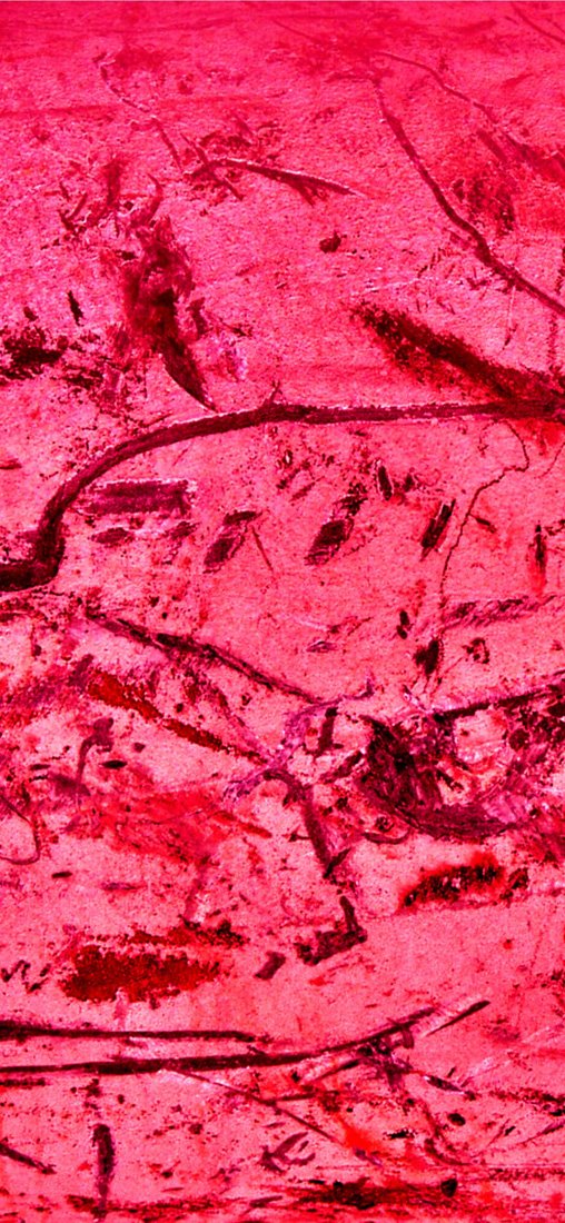 PeelitStickit ID-040 60 Width x 130 cm Height Coloured Grunge Textures Vinyl Wall Mural Wallpaper