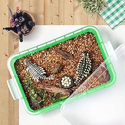 15Inch Portable Sensory Bin Play Tray with
