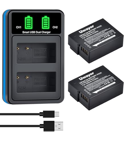 Amazon.com: BM Premium 2 Pack of High Capacity DMW-BLC12 Batteries