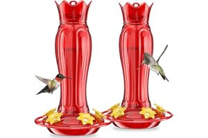 Birdream 2 Pack Hummingbird Feeders 15oz Plastic Ant Moat, Hanging Hummingbird Feeders Easy to Clean and Maintain, Gift for Bird Lover, Solid Red