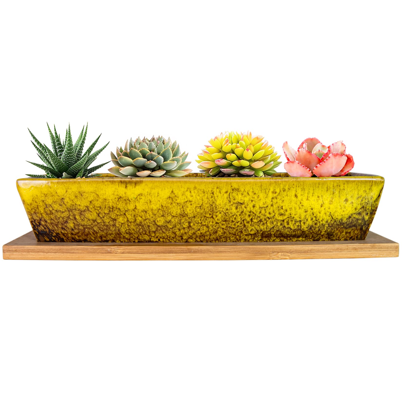 ARTKETTY Succulent Plant Pot - 25 CM Long Rectangle Planters with Drainage Tray, Large Ceramic Pot for Indoor Cactus Flower Plants, Shallow Window Box for Home Decor