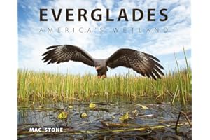 Everglades: America's Wetland