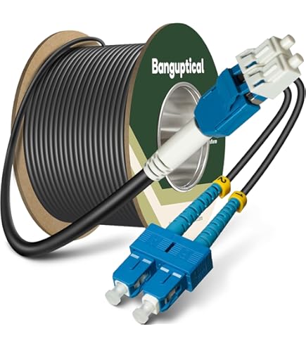 3ft LC To SC OM3 Fiber Optic Cable - 5.0mm Armored 10Gb Duplex Patch Cable