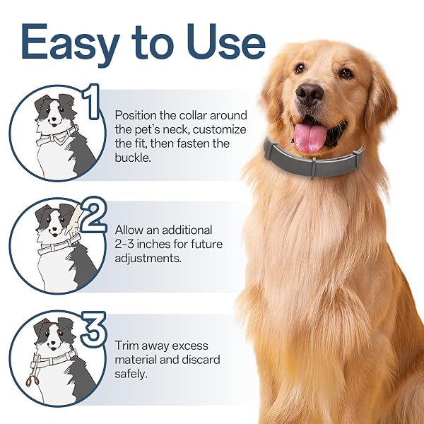 GENTLE OUTDOOR COMFORT COLLAR FOR DOGS LONG-LASTING SUPPORT WATERPROOF & ADJUSTABLE 2 PACK
