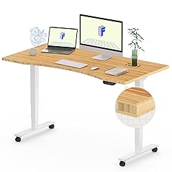 FLEXISPOT E6 Bamboo Dual Motor 3 Stages Standing