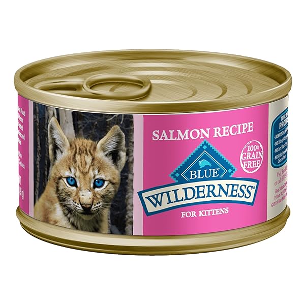 BLUE BUFFALO WILDERNESS KITTEN FOOD, HIGH-PROTEIN & GRAIN-FREE WET CAT FOOD PATÉ VARIETY PACK, CHICKEN & SALMON RECIPES, 3-OZ CANS (6 COUNT, 3 OF EACH)
