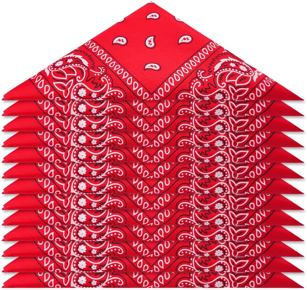 Aomig Paisley Bandana 12 Pcs Pirate Head Scarf Multicolor Hair Wraps