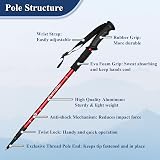 TheFitLife Hiking Trekking Poles 2 Pack Antishock Quick Lock Telescopic view 2