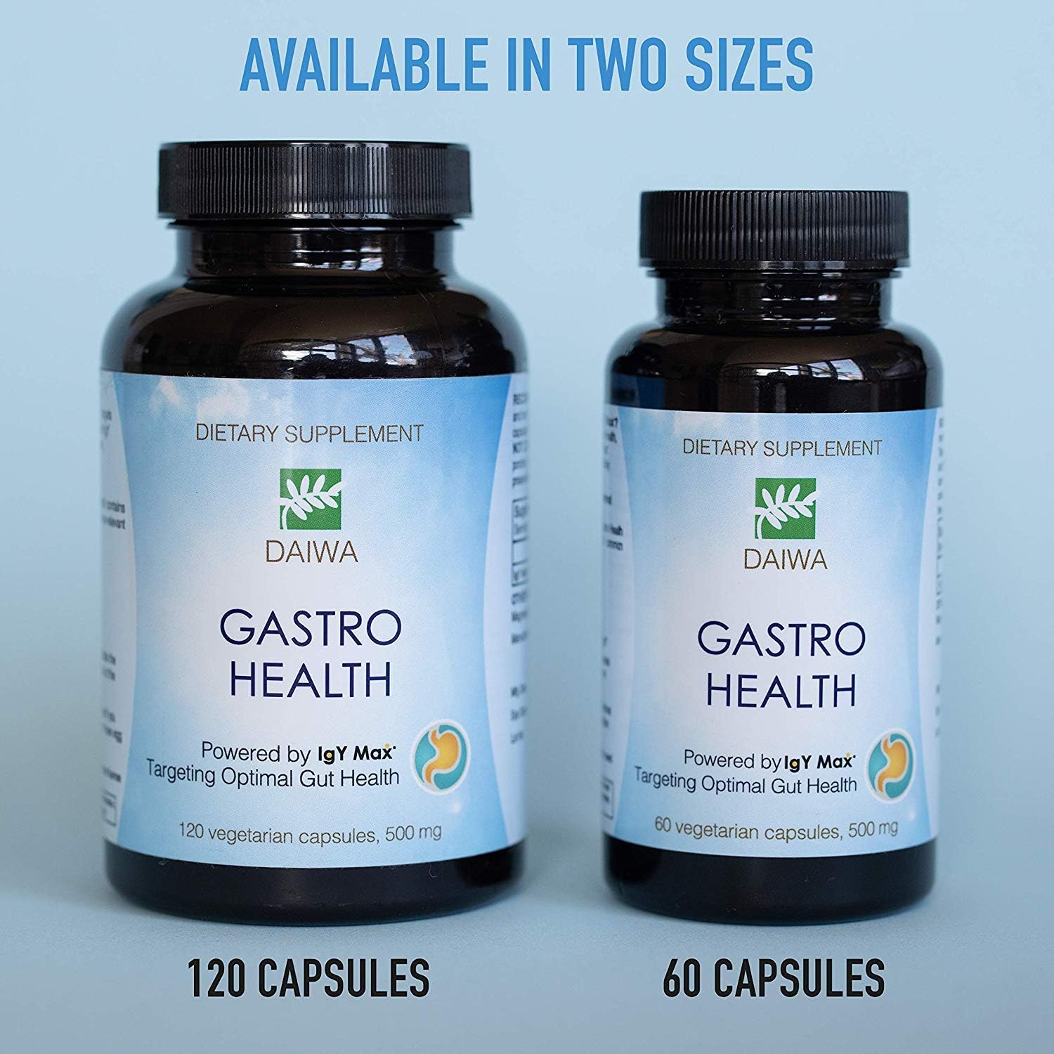Daiwa Gastro Health Natural Digestion Aid Supplements for Digestive