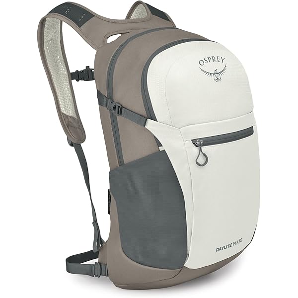 Amazon.com : Osprey Daylite Commuter Backpack, Liquify Print/Kakio