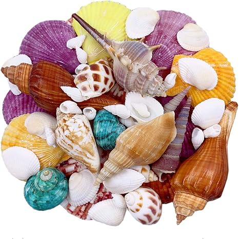 Download Decoraciones tematicas de la playa de tanques de peces Desktop Wallpaper Free