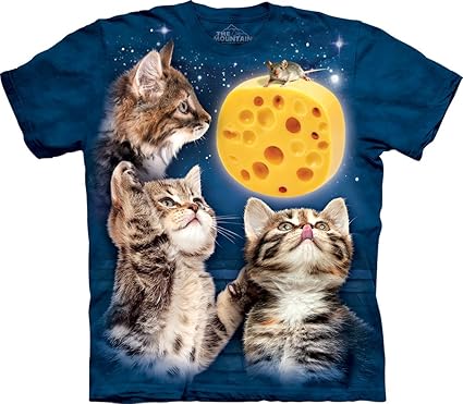 kitten t shirt