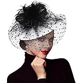 DRESHOW Fascinators Hat Flower Mesh Feathers Hat with a Headband and a Clip 7.9" Tea Party Headwear for Women